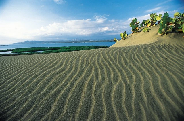 Sand Dune Bani